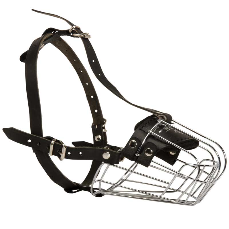 Wire Basket American Bulldog Muzzle for Comfortable Walking and Training - Click Image to Close
