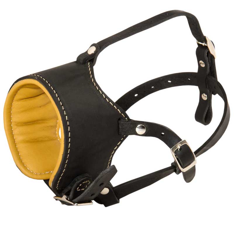Snout Short Leather American Bulldog Muzzle Padded with Nappa Leather