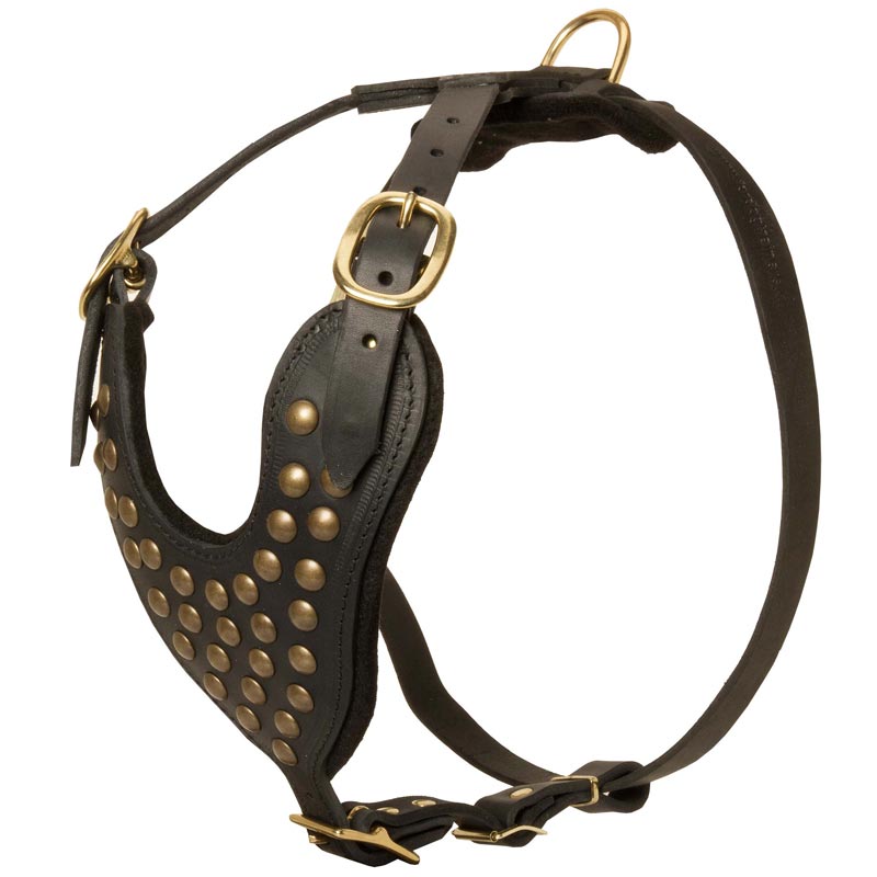 Adjustable Studded Leather American Bulldog Harness for Fashion Walking