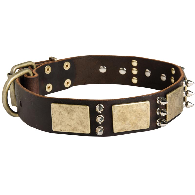 Designer War-Style Leather American Bulldog Collar with Spikes and Plates
