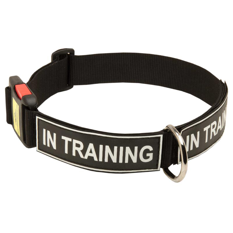 All Weather Nylon American Bulldog Collar with ID Patches