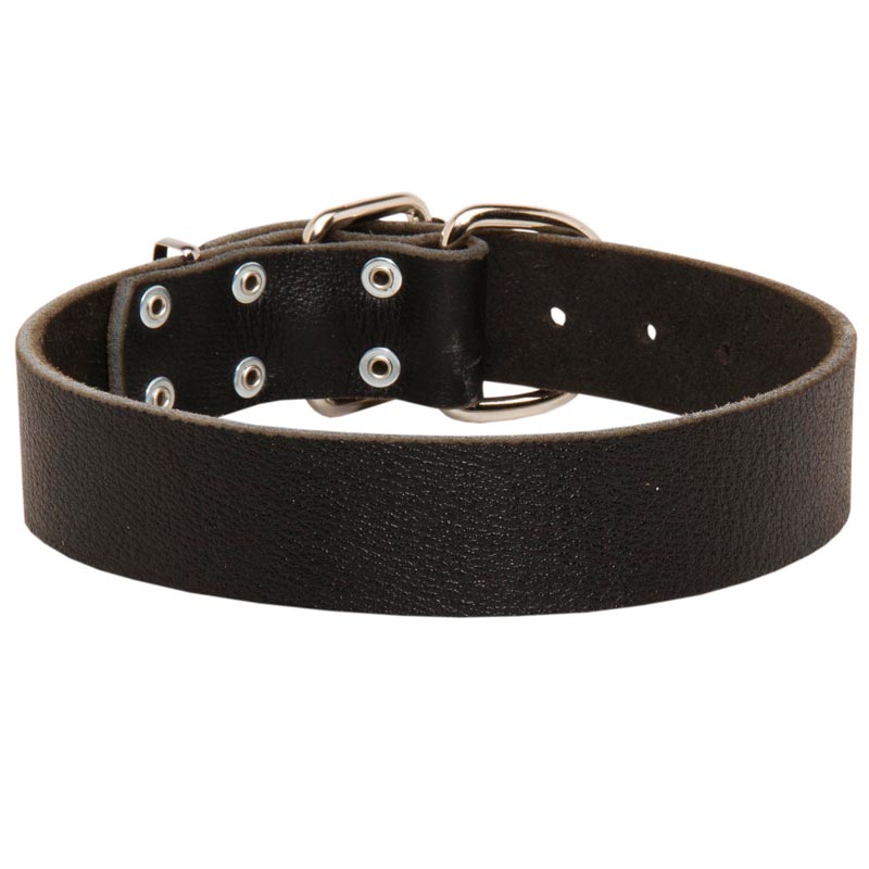 Wide Leather American Bulldog Collar for Training and Walking