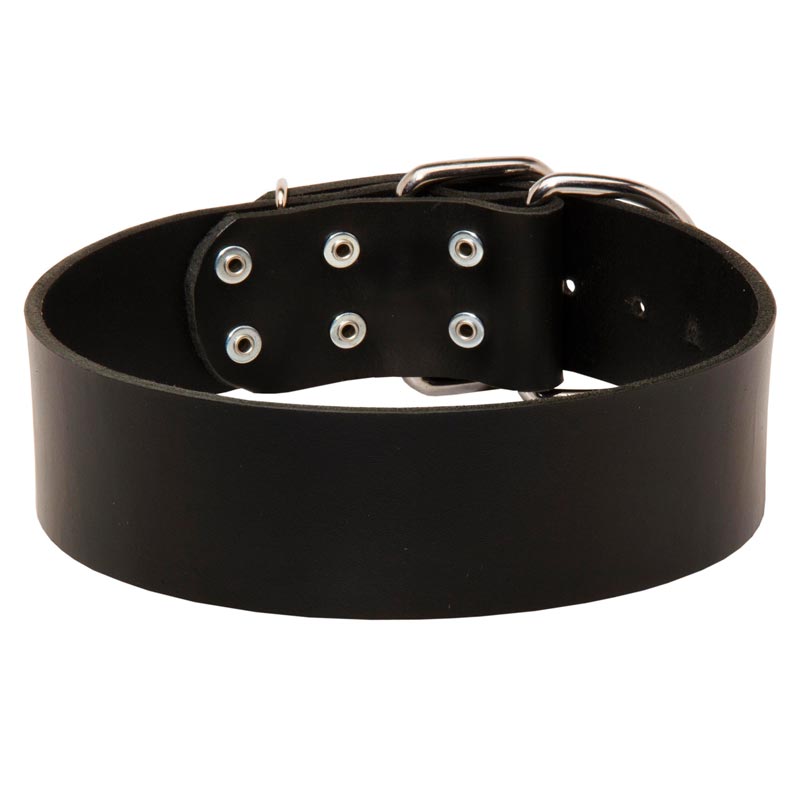 Extra Wide Leather American Bulldog Collar for Professional Training