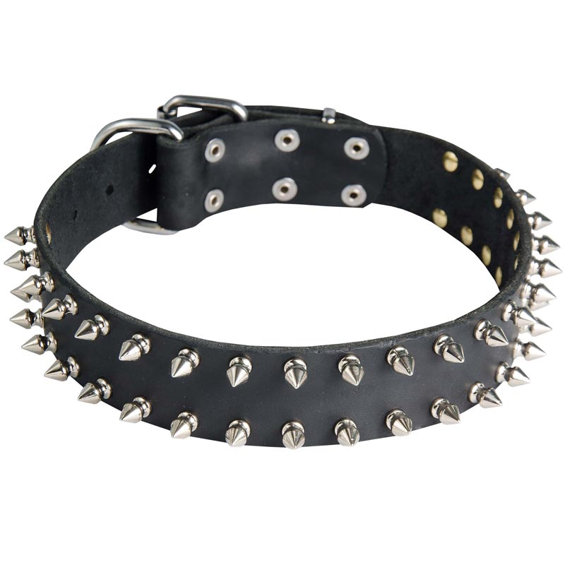 Leather American Bulldog Collar with 2 Rows of Nickel Spikes
