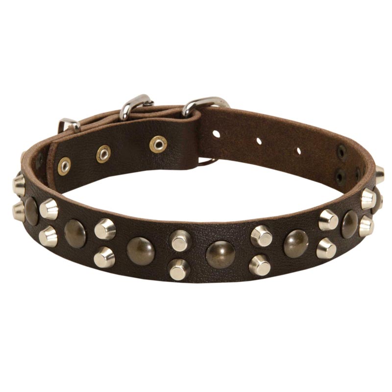Leather American Bulldog Collar With Studs and Pyramids
