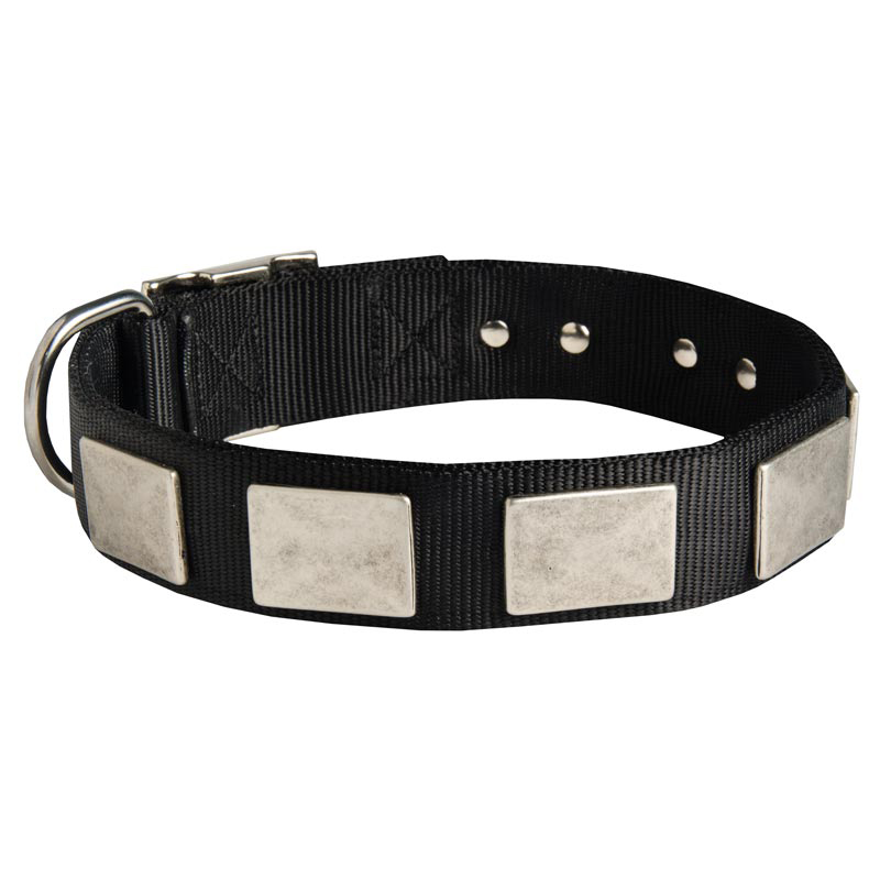 Nylon American Bulldog Collar Massive Nickel Plates