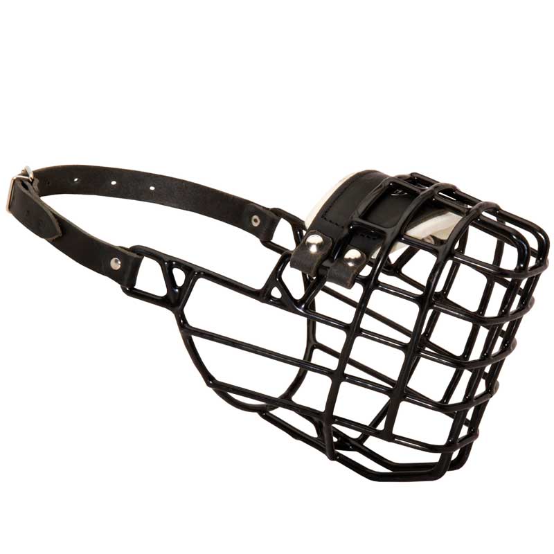 Frost-Resistant Wire Cage American Bulldog Muzzle with One Adjustable Strap