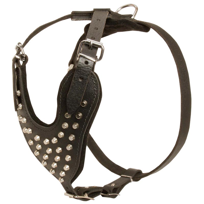 Adjustable Leather American Bulldog Harness Studded for Fashion Walking