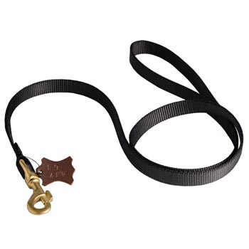 Walking American Bulldog Leash