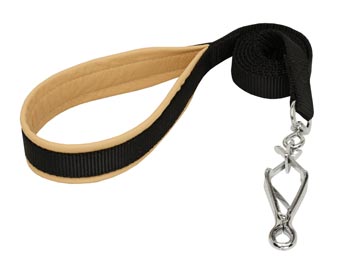 American Bulldog Nylon Leash for Walking and Training