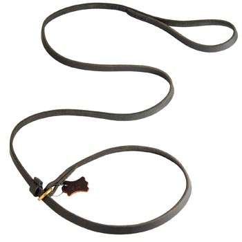 Best Choke Leather American Bulldog Collar and Leash