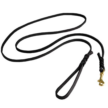 Best Walking American Bulldog Leash Designer Supply for Walking in Style