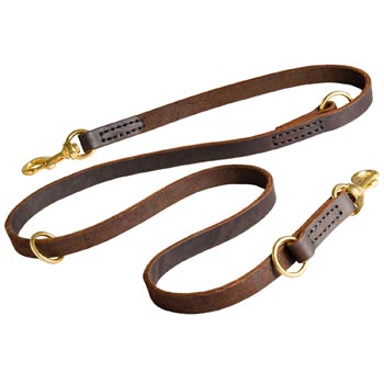 Leather Leash for American Bulldog Everyday Walking