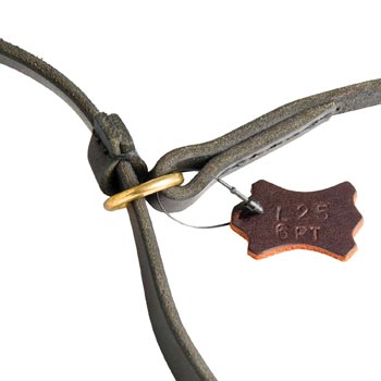 Durable Leash and Choke Collar American Bulldog Equipment