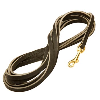 Leather American Bulldog Leash Super Long