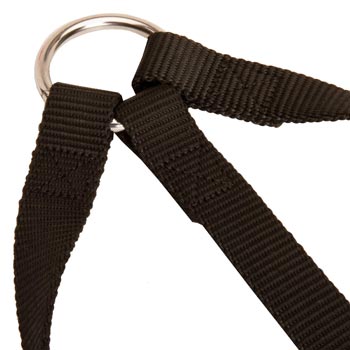 Nickel Ring of American Bulldog Coupler