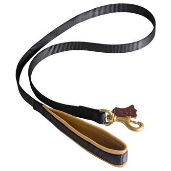 Special Nylon Dog Leash Comfortable to Use for American Bulldog