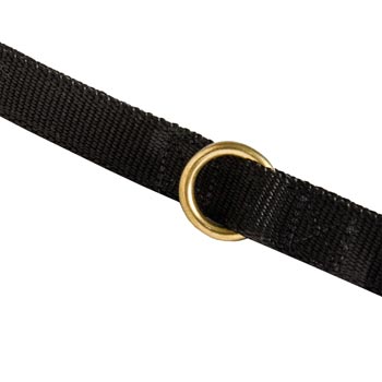 Nylon American Bulldog Leash Solid Brass Ring
