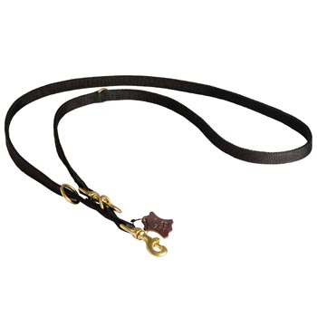 American Bulldog Nylon Dog Leash