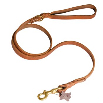 Training Leather American Bulldog Leash with Handle