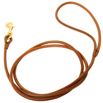 Leather Round Leash for American Bulldog Elegant Look