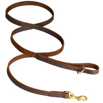 Classic Stitched Leather American Bulldog Leash