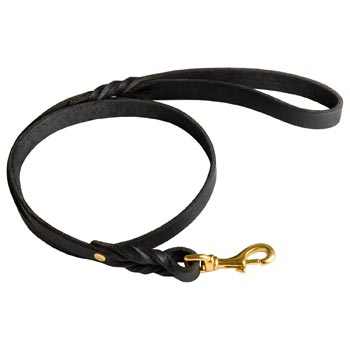 Best Training American Bulldog Leash with Braided Details on Opposite Sides