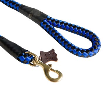 Blue Nylon American Bulldog Leash 