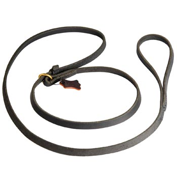 Leash and Collar Combo for American Bulldog Walking and Training