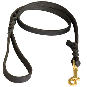 Training Leash for American Bulldog