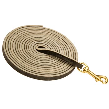 Training Leather American Bulldog Leash