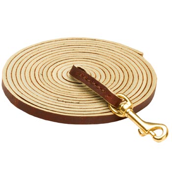 Tracking Brown Leather American Bulldog Leash
