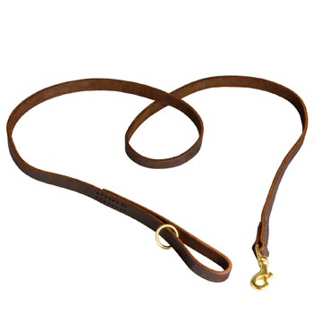 Durable Leather American Bulldog Leash