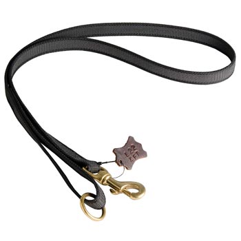 All Weather Nylon Leash for American Bulldog Walking