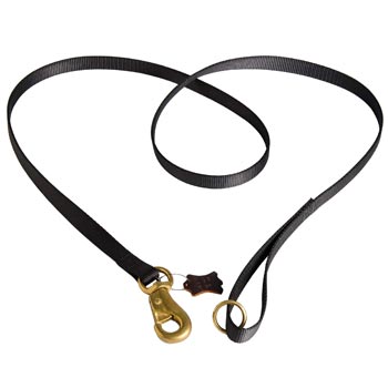 Dog Leash Nylon for American Bulldog Everyday Walking 