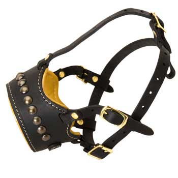 Padded Muzzle for American Bulldog