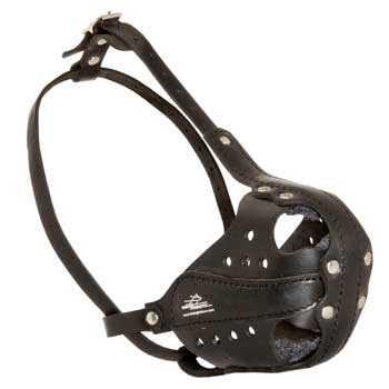 American Bulldog Muzzle for Attack Training