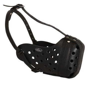 Training Leather Dog Muzzle for American Bulldog