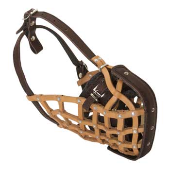 American Bulldog Muzzle Leather Mesh for Walking and Training