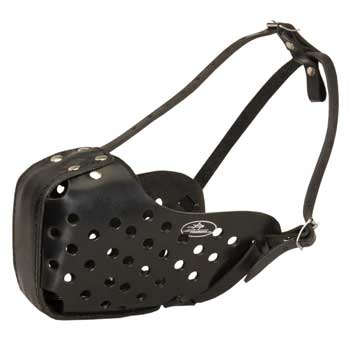 American Bulldog Muzzle for Agitation Training