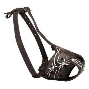 Training Muzzle for American Bulldog