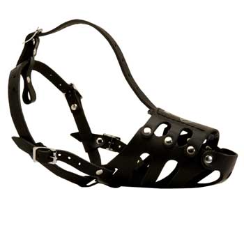 Leather American Bulldog Well-Fitting Muzzle