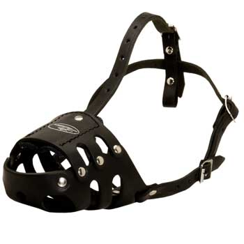 Anti Barking American Bulldog Muzzle Leather for Walking Dog