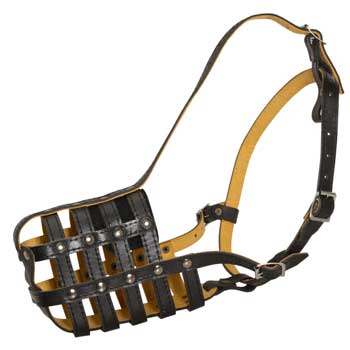 Adjustable Muzzle for American Bulldog
