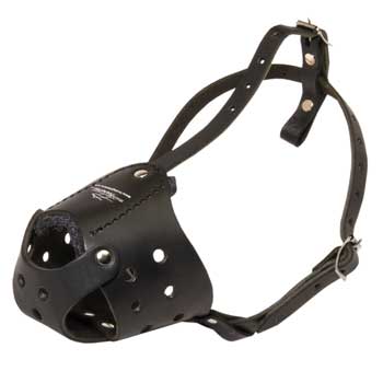Light in Weight Anti-Barking American Bulldog Muzzle