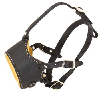 Leather American Bulldog Muzzle for No Bark Training Walking
