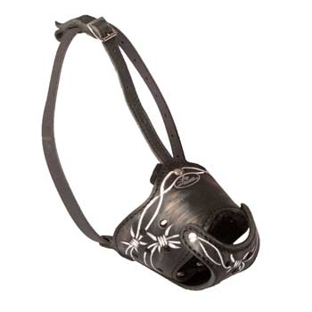 Anti-Barking Muzzle for American Bulldog