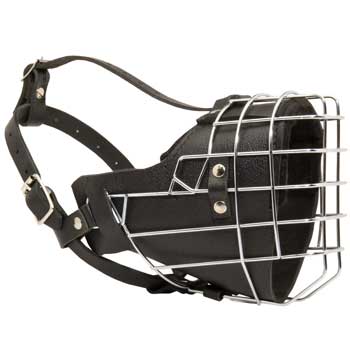 Padded on the Nose American Bulldog Muzzle