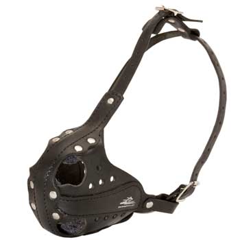 Sof Leather padded American Bulldog Muzzle